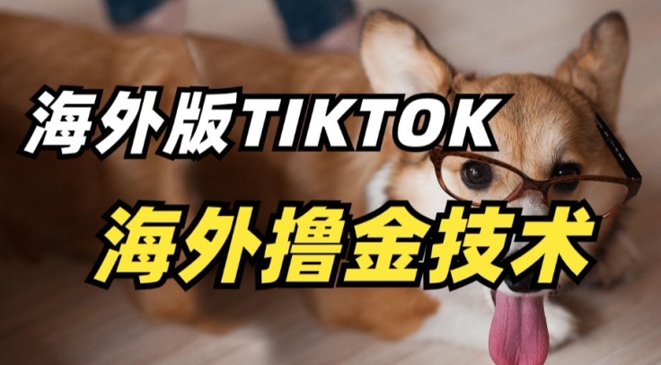 404-20240327-抖音海外版tiktok撸金技术，这个风口行业，赚钱真的不难⭐抖音海外版tiktok撸金技术，这个风口行业，赚钱真的不难【揭秘】