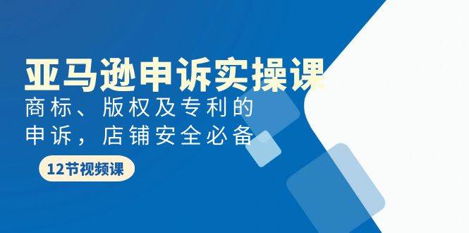 （9754期）亚马逊-申诉实战课，​商标、版权及专利的申诉，店铺安全必备⭐亚马逊-申诉实战课，商标、版权及专利的申诉，店铺安全必备