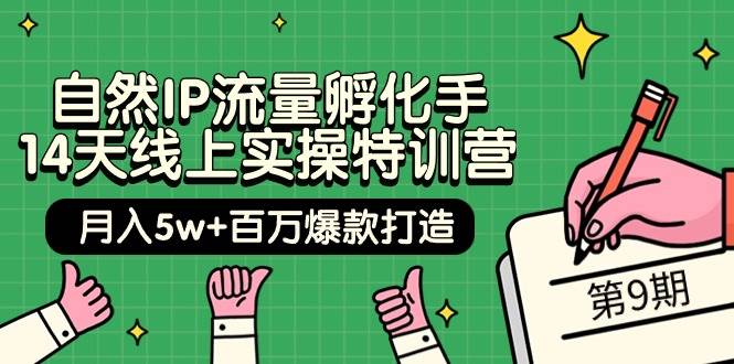 （9881期）自然IP流量孵化手·14天线上实操特训营【第9期】月入5w+百万爆款打造 (74节)⭐自然IP流量孵化手 14天线上实操特训营【第9期】百万爆款打造 (74节)