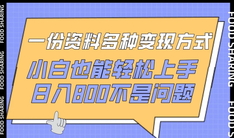 190-20240414-一份资料多种变现方式，小白也能轻松上手，日入800不是问题【揭秘】