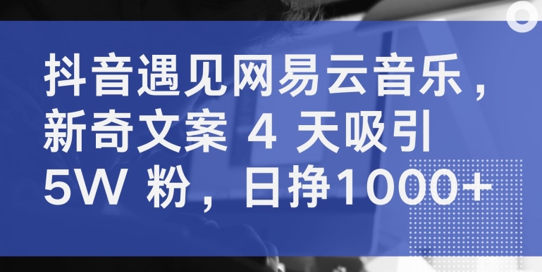 187-20240414-抖音遇见网易云音乐，新奇文案 4 天吸引 5W 粉，日挣1000+【揭秘】