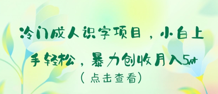 198-20240415-冷门成人识字项目，小白上手轻松，暴力创收月入5w+【揭秘】