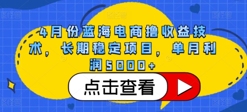 228-20240417-4月份蓝海电商撸收益技术，长期稳定项目，单月利润5000+【揭秘】