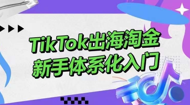 240-20240418-TikTok出海淘金，新手体系化入门，零基础快速入门，掌握短视频、直播带货等引流到变现的知识