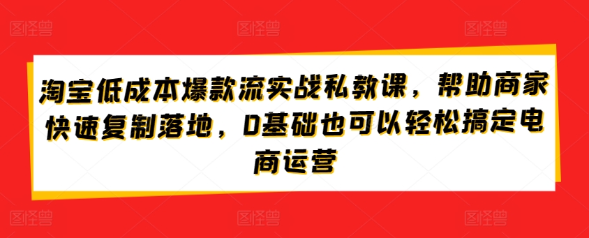 314-20240425-淘宝低成本爆款流实战私教课，帮助商家快速复制落地，0基础也可以轻松搞定电商运营