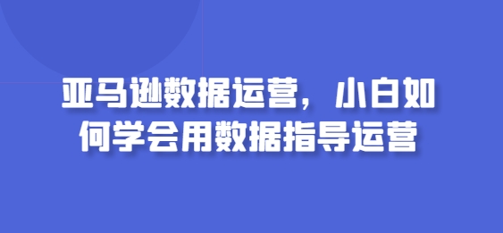 317-20240425-亚马逊数据运营，小白如何学会用数据指导运营