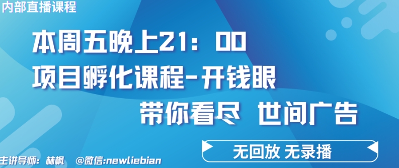 356-20240429-4.26日内部回放课程《项目孵化-开钱眼》赚钱的底层逻辑【揭秘】