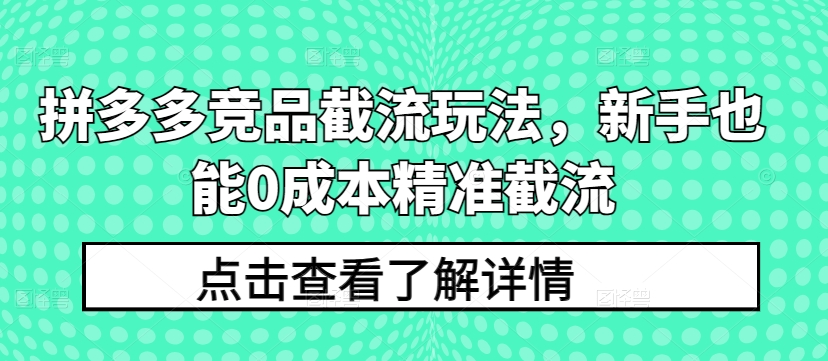 042-20240505-拼多多竞品截流玩法，新手也能0成本精准截流
