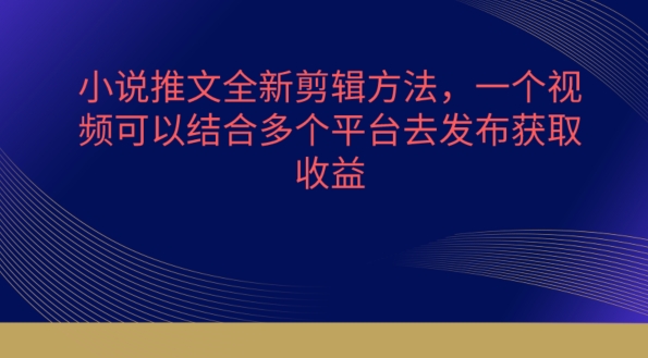 095-20240509-小说推文全新剪辑方法，一个视频可以结合多个平台去发布获取【揭秘】