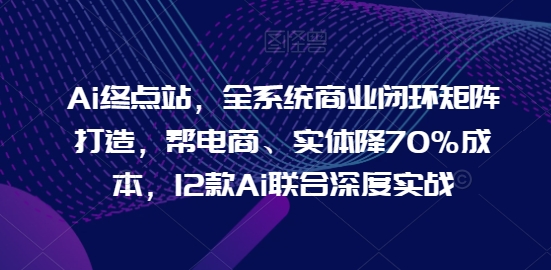 116-20240511-Ai终点站，全系统商业闭环矩阵打造，帮电商、实体降70%成本，12款Ai联合深度实战