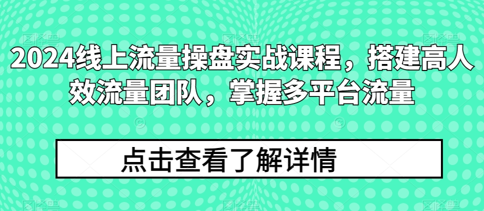 131-20240513-2024线上流量操盘实战课程，搭建高人效流量团队，掌握多平台流量