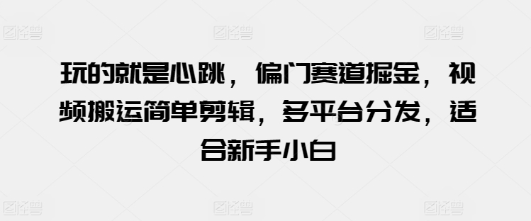 199-20240517-玩的就是心跳，偏门赛道掘金，视频搬运简单剪辑，多平台分发，适合新手小白【揭秘】