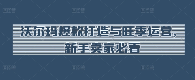 261-20240523-沃尔玛爆款打造与旺季运营，新手卖家必看