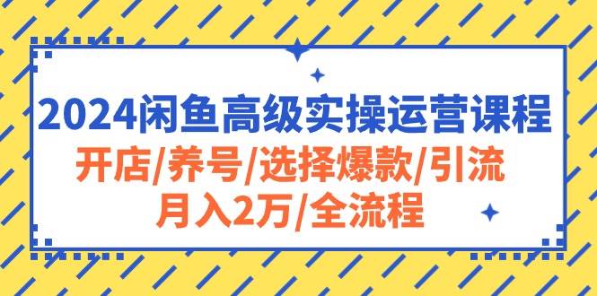 （10711期）2024闲鱼高级实操运营课程⭐2024闲鱼高级实操运营课程：开店/养号/选择爆款/引流/一个月2万/全流程