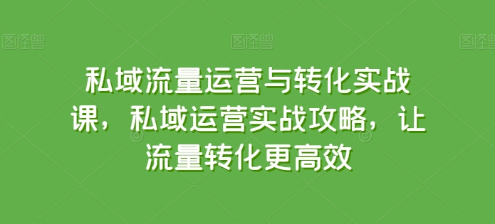 306-20240527-私域流量运营与转化实战课，私域运营实战攻略，让流量转化更高效