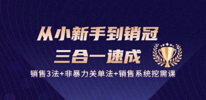 339-20240530-从小新手到销冠 三合一速成：销售3法+非暴力关单法+销售系统挖需课 (27节)