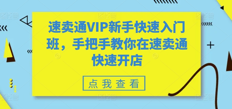 023-20240603-速卖通VIP新手快速入门班，手把手教你在速卖通快速开店