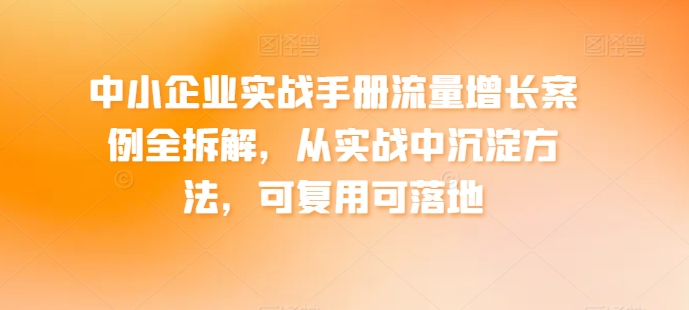 037-20240604-中小企业实战手册流量增长案例全拆解，从实战中沉淀方法，可复用可落地