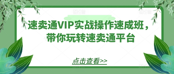 066-20240607-速卖通VIP实战操作速成班，带你玩转速卖通平台