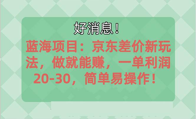 越早知道越能赚到钱的蓝海项目：京东大平台操作，一单利润20-30，简单...