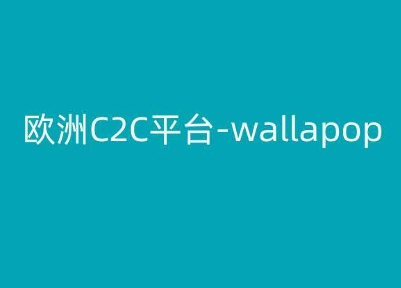 112-20240612-欧洲C2C平台-wallapop-kim跨境电商教程