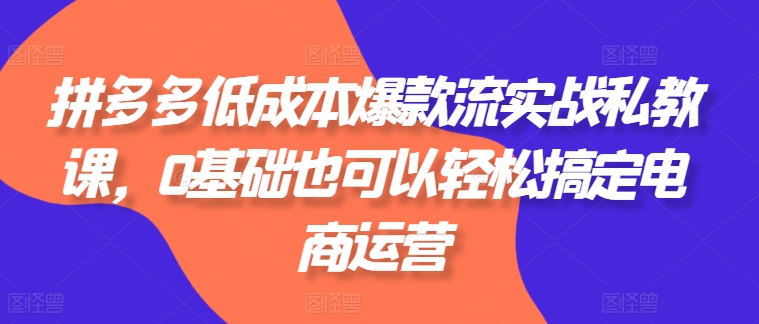 172-20240617-拼多多低成本爆款流实战私教课，0基础也可以轻松搞定电商运营