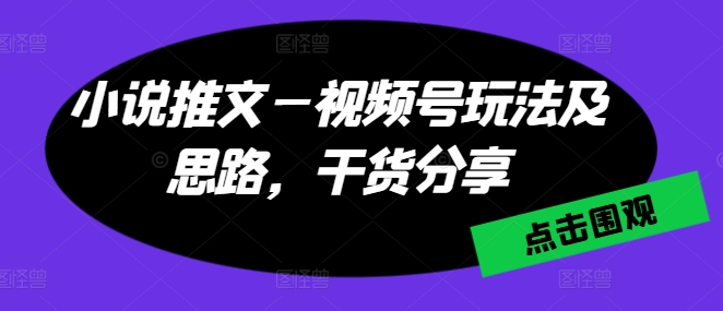 171-20240617-小说推文—视频号玩法及思路，干货分享