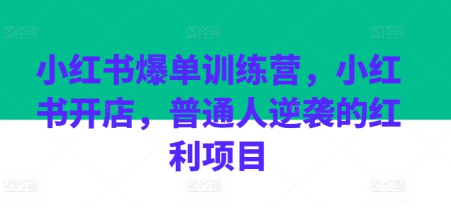 192-20240619-小红书爆单训练营，小红书开店，普通人逆袭的红利项目