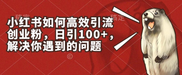 225-20240621-小红书如何高效引流创业粉，日引100+，解决你遇到的问题【揭秘】