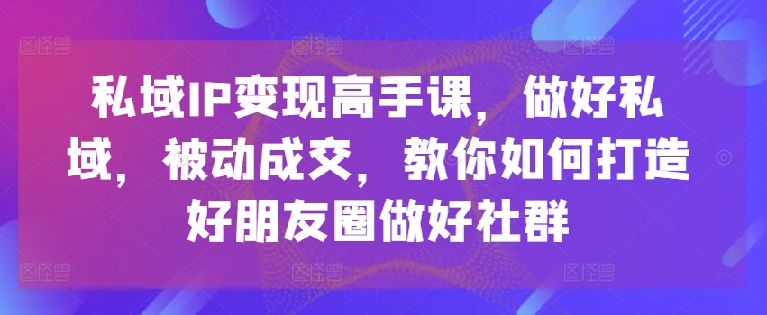 230-20240622-私域IP变现高手课，做好私域，被动成交，教你如何打造好朋友圈做好社群