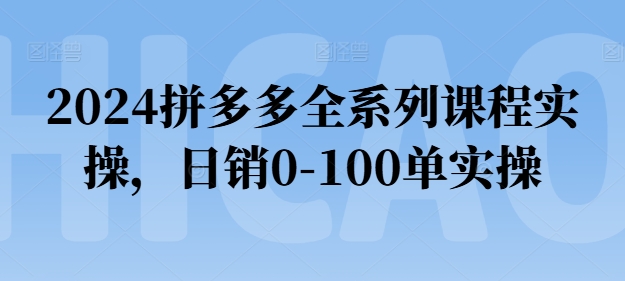 239-20240623-2024拼多多全系列课程实操，日销0-100单实操【必看】