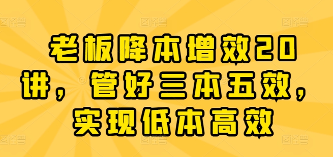 250-20240624-老板降本增效20讲，管好三本五效，实现低本高效