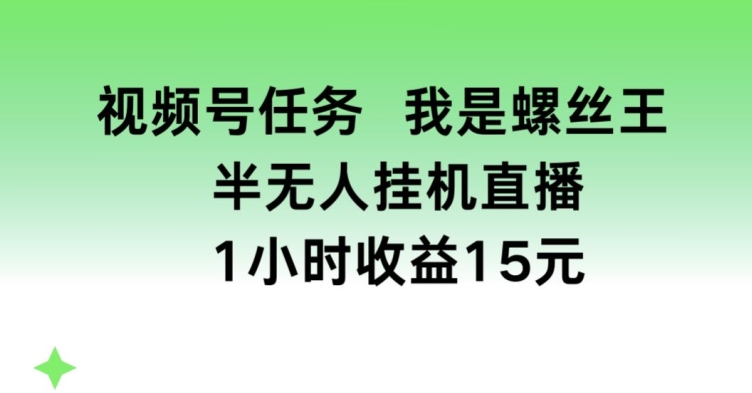 291-20240627-视频号任务，我是螺丝王， 半无人挂机1小时收益15元【揭秘】