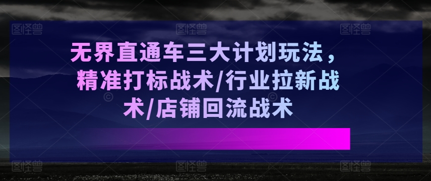 296-20240628-无界直通车三大计划玩法，精准打标战术行业拉新战术店铺回流战术⭐无界直通车三大计划玩法，精准打标战术/行业拉新战术/店铺回流战术