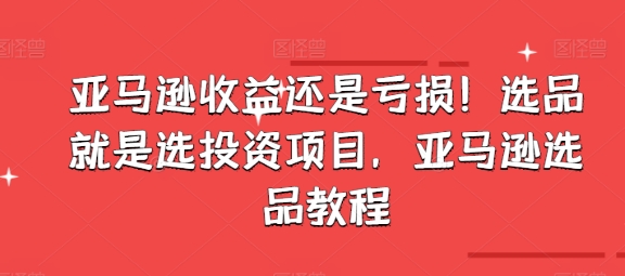 058-20240705-亚马逊收益还是亏损！选品就是选投资项目，亚马逊选品教程