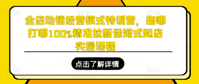 065-20240706-全店动销经营模式特训营，指哪打哪100%精准拉新保姆式起店实操课程