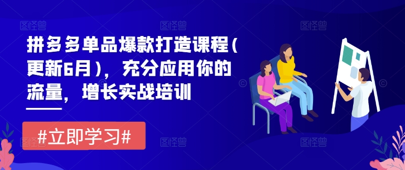 127-20240710-拼多多单品爆款打造课程(更新6月)，充分应用你的流量，增长实战培训