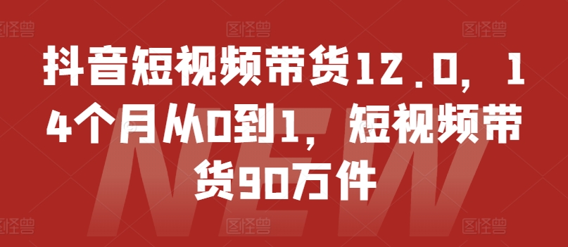 138-20240711-抖音短视频带货12.0，14个月从0到1，短视频带货90万件