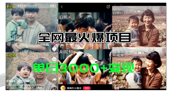 139-20240711-全网爆火的AI让老照片动起来教程，蹭热点日赚3k+，内含免费工具一键可生成【揭秘】