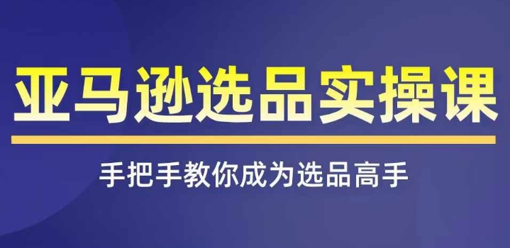 185-20240715-亚马逊选品实操课程，快速掌握亚马逊选品的技巧，覆盖亚马逊选品所有渠道