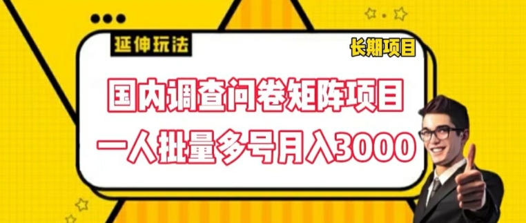 297-20240723-国内调查问卷矩阵项目，一人批量多号月入3000【揭秘】