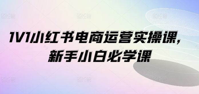 346-20240727-1V1小红书电商运营实操课，新手小白必学课