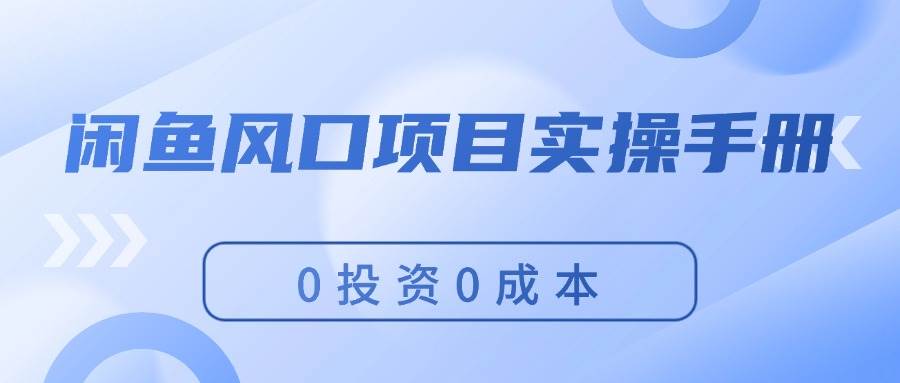 闲鱼风口项目实操手册，0成本，新手可做