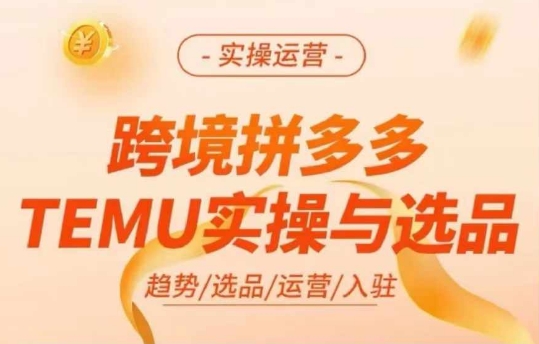 018-20240802-跨境拼多多TEMU实操与选品，多多temu跨境选品运营实操