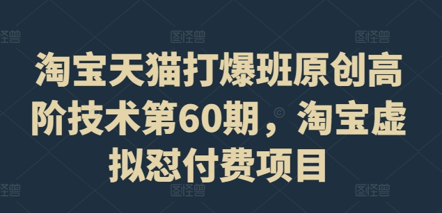 034-20240803-淘宝天猫打爆班原创高阶技术第60期，淘宝虚拟怼付费项目