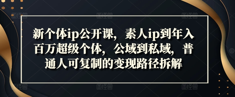 049-20240804-新个体ip公开课，素人ip到年入百万超级个体，公域到私域，普通人可复制的变现路径拆解