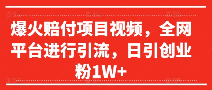 074-20240806-爆火赔付项目视频，全网平台进行引流，日引创业粉1W+【揭秘】