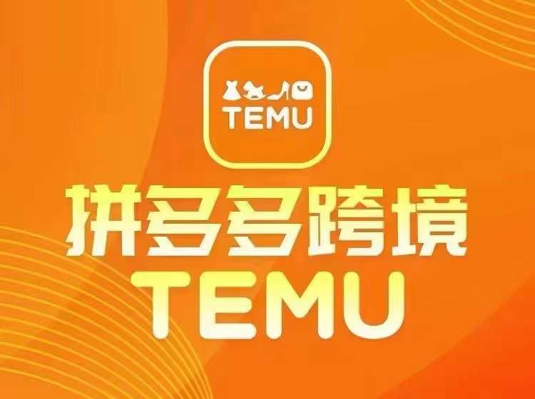 161-20240812-最新TEMU拼多多跨境教程，开店、运营、选品