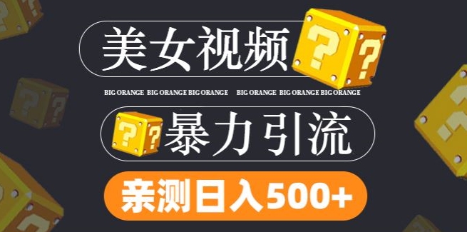 180-20240814-搬运tk美女视频全网分发，日引s粉300+，轻松变现，不限流量不封号【揭秘】