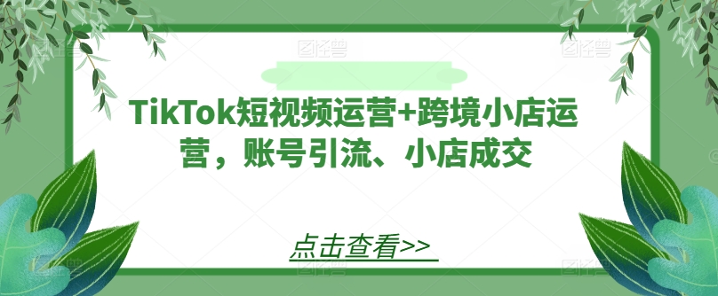 194-20240815-TikTok短视频运营+跨境小店运营，账号引流、小店成交